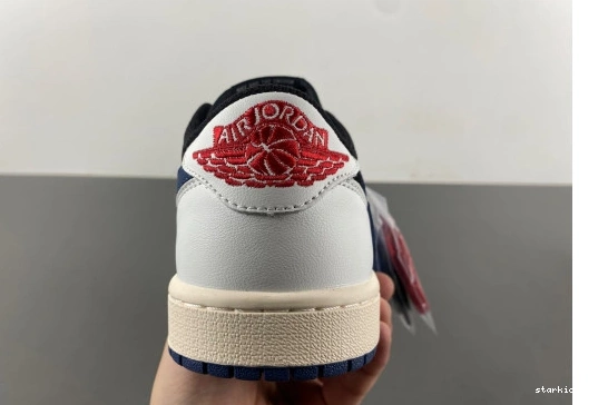 RETRO DM7866-713 SCOTT OG DM7866-713 JORDAN  SP LOW TRAVIS  1 0423